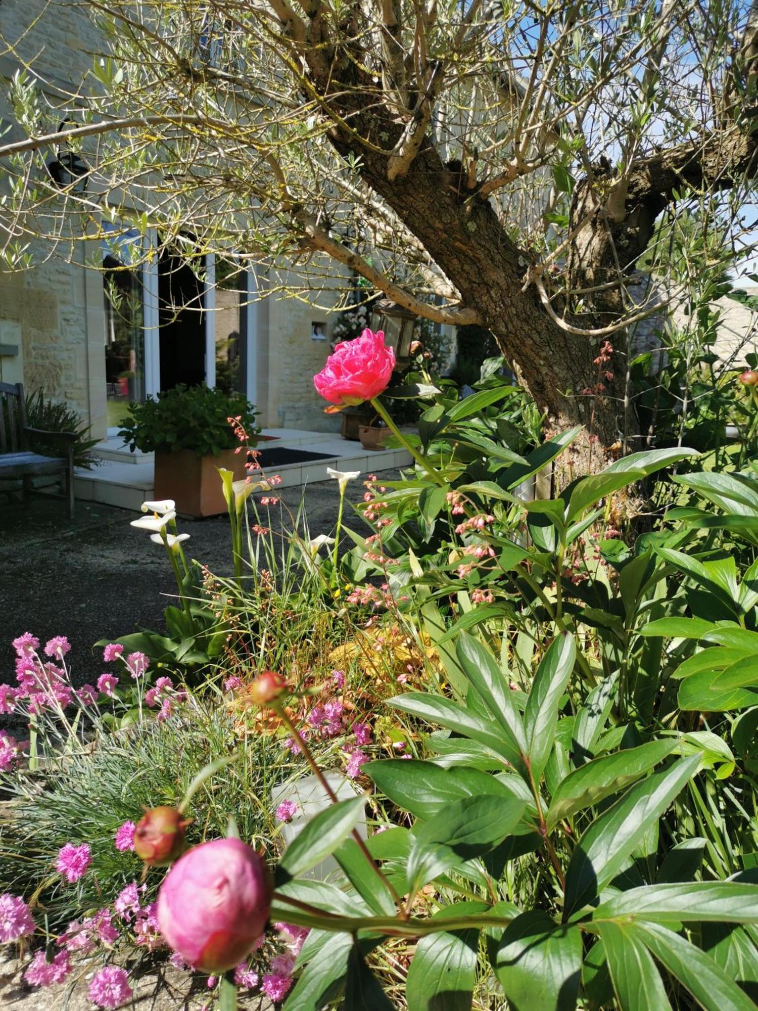 Chambre De L'Iris Sainte-Croix-sur-Mer エクステリア 写真